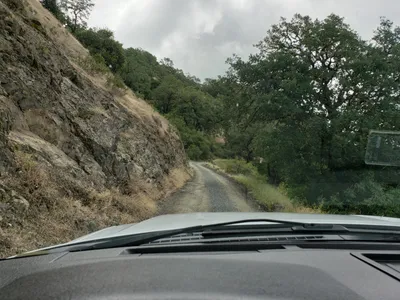 20190520_105422 (Large).jpg